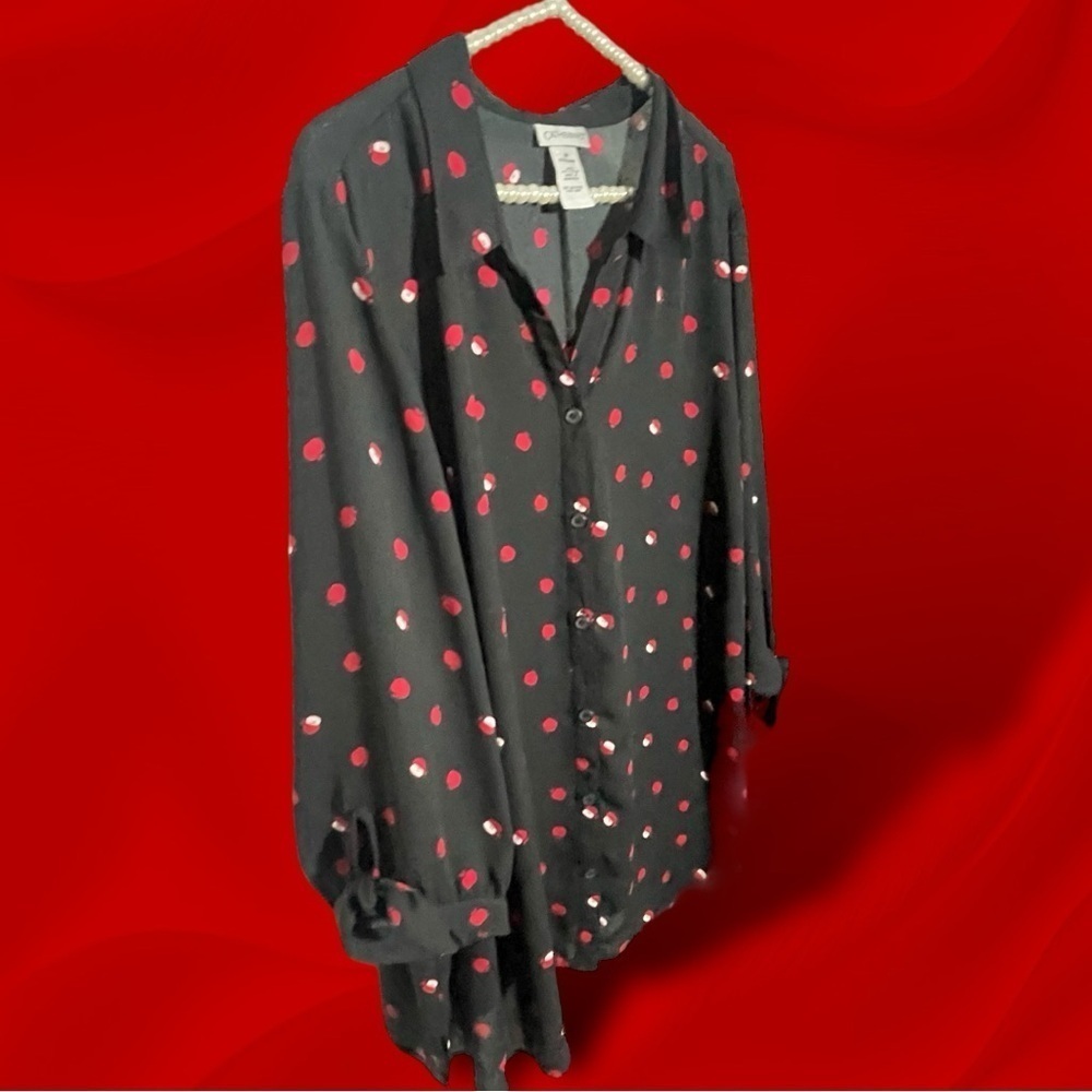 Catherine's Tunic Button Down Semi-sheer Apple Blouse 3/4 Tie Size 22/24